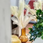 Matisse Elegant F2 Proche Vieux-marche