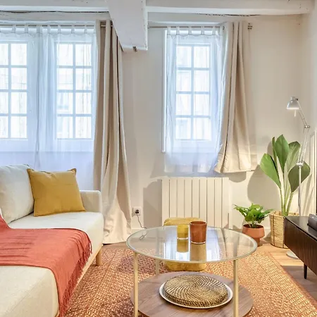 Apartment Matisse Elegant F2 Proche Vieux-marche *