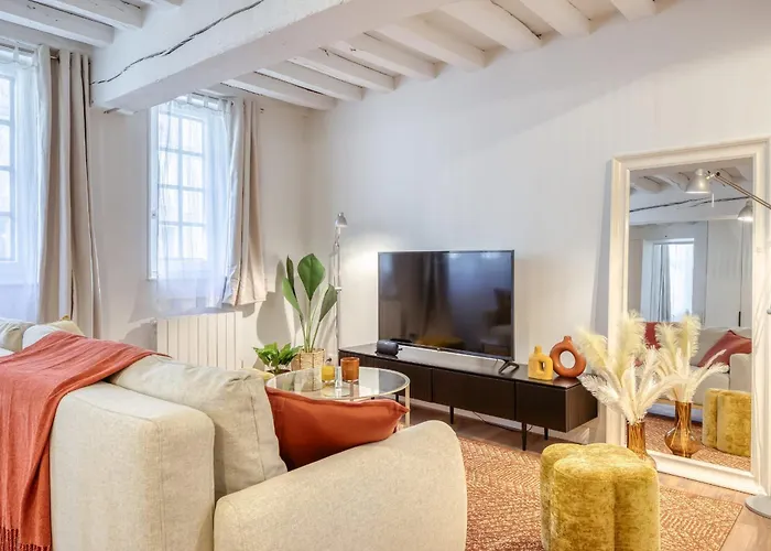 Matisse élégant F2 Proche Vieux-marché