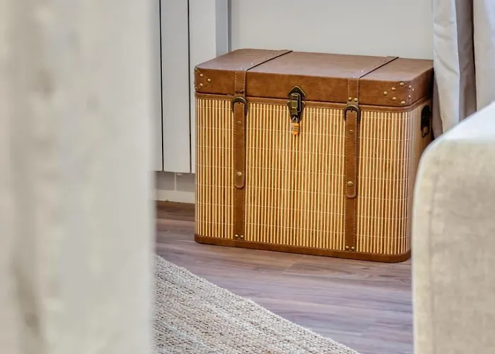 Matisse élégant F2 Proche Vieux-marché