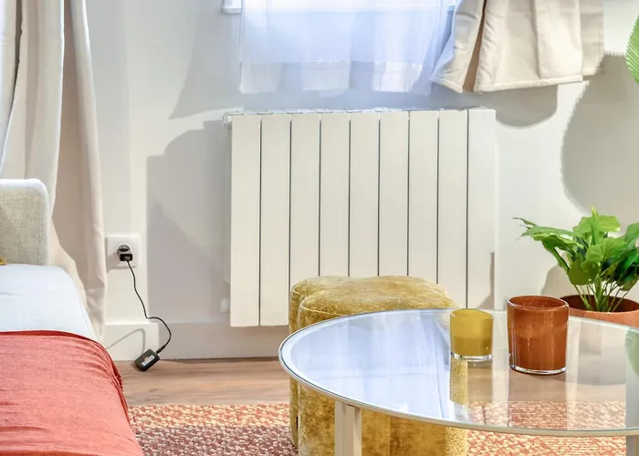 Matisse Elegant F2 Proche Vieux-marche *