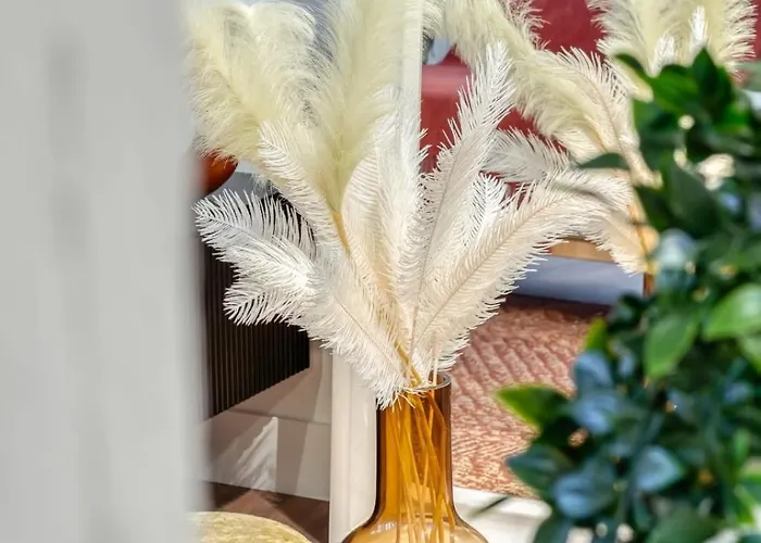 Matisse Elegant F2 Proche Vieux-marche